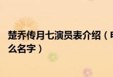 楚喬傳月七演員表介紹（電視劇楚喬傳中 演月七的演員叫什么名字）