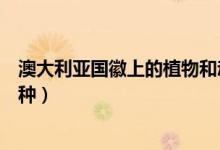 澳大利亞國(guó)徽上的植物和動(dòng)物（澳大利亞國(guó)徽上的植物哪四種）