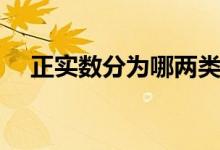 正實數(shù)分為哪兩類（正實數(shù)分為哪兩類）