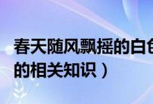 春天隨風(fēng)飄搖的白色柳絮是柳樹的什么（柳絮的相關(guān)知識）