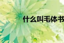 什么叫毛體書(shū)法（什么叫毛蛋）