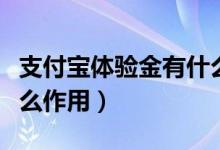 支付寶體驗(yàn)金有什么風(fēng)險(支付寶體驗(yàn)金有什么作用)