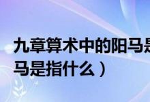 九章算術(shù)中的陽馬是指什么（九章算術(shù)中的陽馬是指什么）