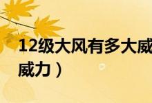 12級(jí)大風(fēng)有多大威力視頻（12級(jí)大風(fēng)有多大威力）
