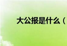 大公報(bào)是什么（大公報(bào)是什么時期）