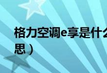 格力空調(diào)e享是什么（格力空調(diào)e享是什么意思）