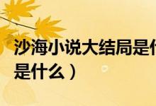 沙海小說大結局是什么意思（沙海小說大結局是什么）