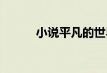 小說(shuō)平凡的世界中的寶康是哪里