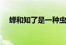 蟬和知了是一種蟲(chóng)嗎（蟬和知了一樣嗎）