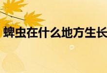 蜱蟲(chóng)在什么地方生長(zhǎng)（蜱蟲(chóng)在什么地方最多）