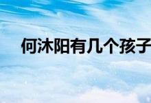 何沐陽有幾個孩子（何沐陽有幾個妻子）