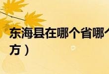 東?？h在哪個省哪個市（山東東?？h是什么地方）