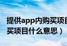 提供app內(nèi)購買項目什么意思（提供app內(nèi)購買項目什么意思）