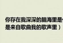 你存在我深深的腦海里是什么歌（你存在我深深的腦海里是是來自歌曲我的歌聲里）