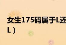 女生175碼屬于L還是XL(175碼屬于L還是XL)