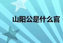 山陽(yáng)公是什么官（山陽(yáng)公是什么意思）