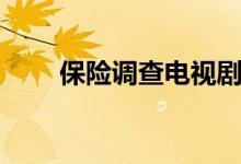 保險調(diào)查電視?。ūｋU調(diào)查員結(jié)局）