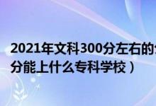 2021年文科300分左右的公辦?？拼髮W(xué)（2022高考文科300分能上什么?？茖W(xué)校）