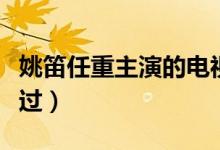 姚笛任重主演的電視?。ㄟ@部劇大部分人都看過）