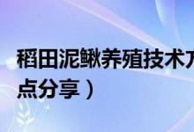 稻田泥鰍養(yǎng)殖技術(shù)方法（泥鰍稻田養(yǎng)殖技術(shù)要點(diǎn)分享）