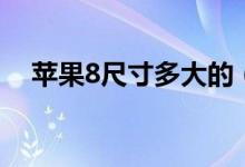 蘋(píng)果8尺寸多大的（蘋(píng)果8尺寸多少厘米）