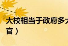 大校相當于政府多大官（大校相當于政府什么官）