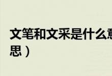 文筆和文采是什么意思（文才和文采是什么意思）