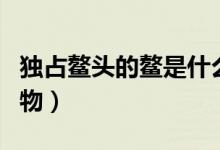獨占鰲頭的鰲是什么(獨占鰲頭的鰲是什么動物)