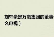 劉軒豪是萬豪集團(tuán)的董事長嗎（萬豪集團(tuán)董事長劉軒豪是什么電視）