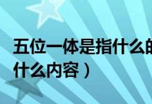 五位一體是指什么的總體布局（五位一體是指什么內(nèi)容）