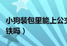 小狗裝包里能上公交車(chē)嗎（小狗裝包里能上地鐵嗎）