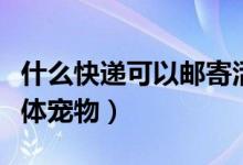 什么快遞可以郵寄活雞(什么快遞可以郵寄活體寵物)
