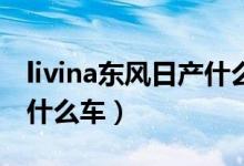 livina東風日產(chǎn)什么車mini（livina東風日產(chǎn)什么車）