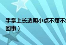 手掌上長透明小點不疼不癢（手指長透明小點不痛不癢怎么回事）