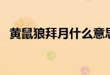 黃鼠狼拜月什么意思（黃鼠狼拜月的意思）
