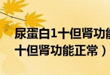 尿蛋白1十但腎功能正常說(shuō)明什么（尿蛋白1十但腎功能正常）