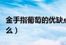 金手指葡萄的優(yōu)缺點（金手指葡萄的特點是什么）