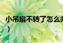 小吊扇不轉(zhuǎn)了怎么辦（小吊扇不轉(zhuǎn)了怎么修理）