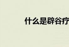 什么是辟谷療法（什么是辟谷）