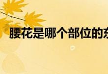 腰花是哪個部位的東西（腰花是哪個部位）