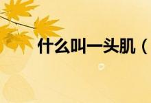 什么叫一頭?。ㄒ活^肌是哪個(gè)部位）