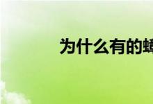 為什么有的蟑螂會飛有的不會