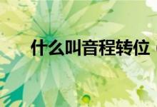 什么叫音程轉(zhuǎn)位（什么叫音程的音數(shù)）