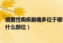 細菌性痢疾腹痛多位于哪個部位（細菌性痢疾的腹痛多位于什么部位）