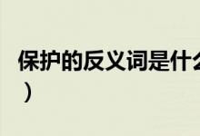 保護(hù)的反義詞是什么（保護(hù)的反義詞簡單介紹）