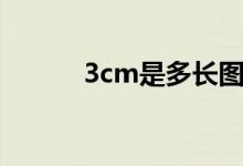 3cm是多長(zhǎng)圖片（3cm是多長(zhǎng)）