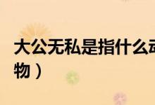 大公無私是指什么動物（大公無私是指什么動物）