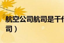 航空公司航司是干什么的（奶航是哪個(gè)航空公司）