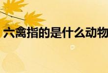 六禽指的是什么動物（三禽六畜是哪些動物）