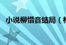 小說柳惜音結(jié)局（柳惜音最后和誰在一起）